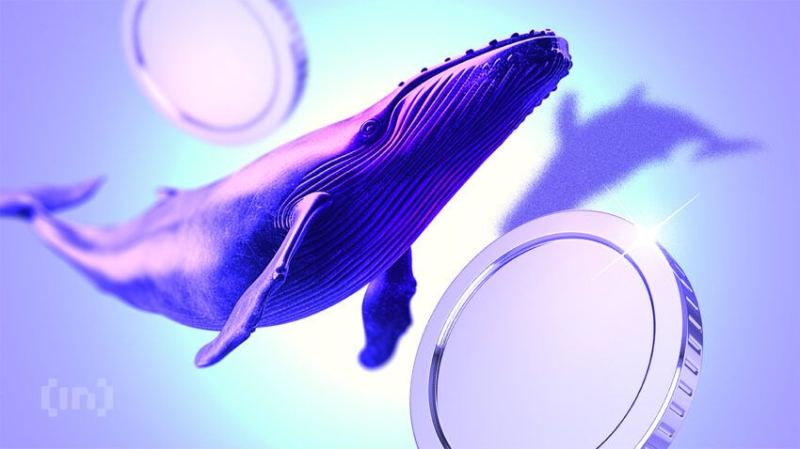 What Crypto Whales Are Buying Ahead of Senate Hearing